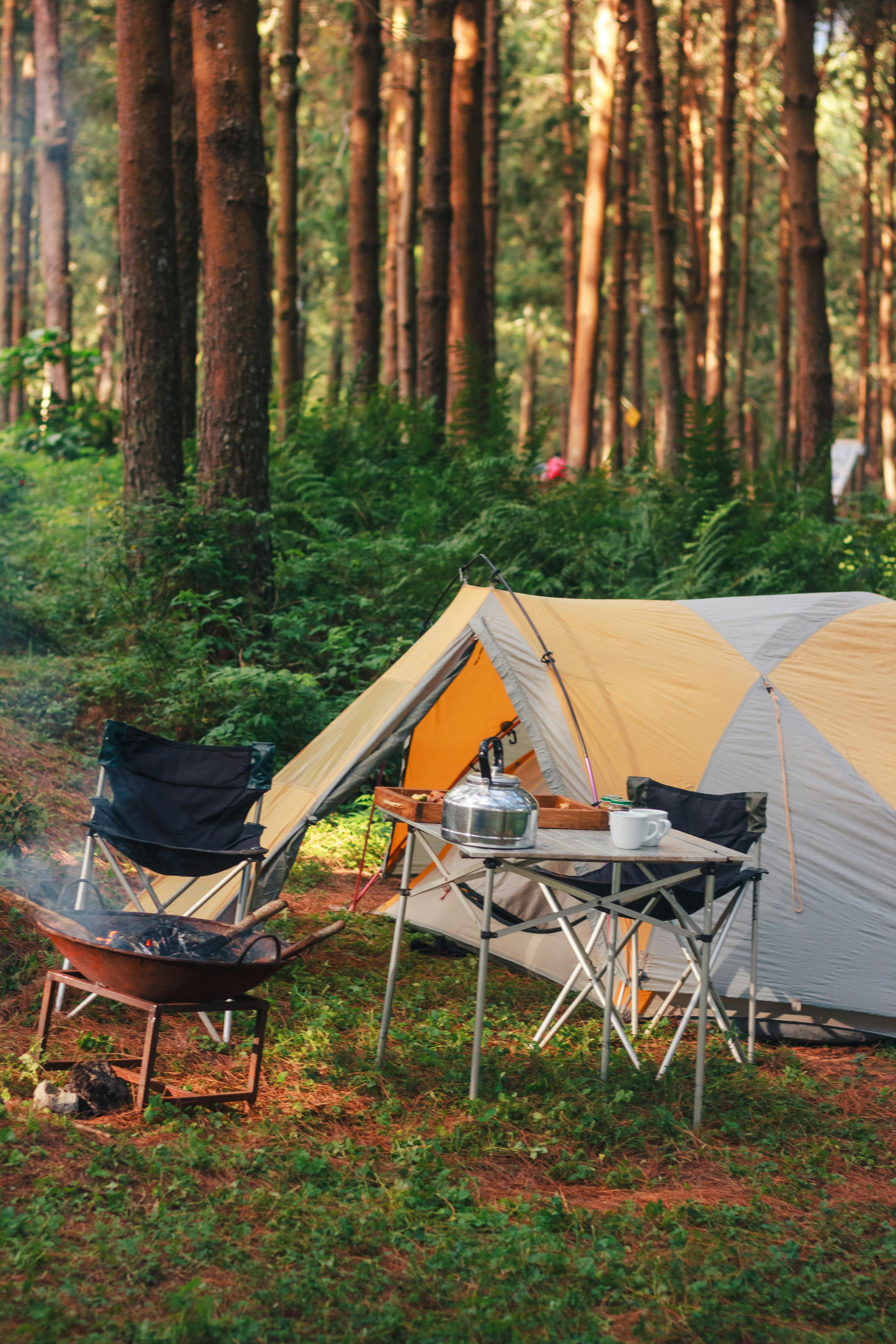 Premium Tensile Structure